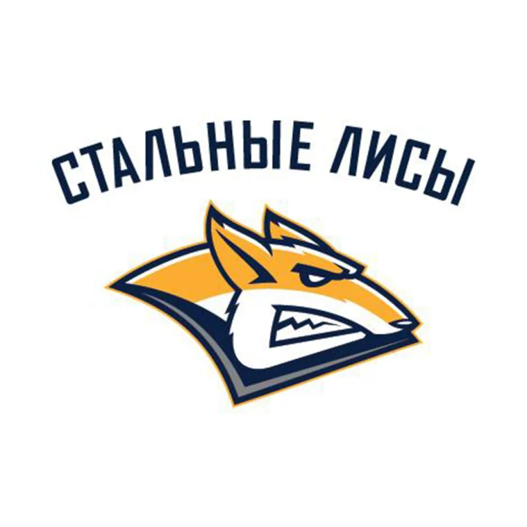 Трансляция хоккейного матча